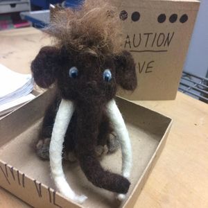 Meet your Posher, Barb